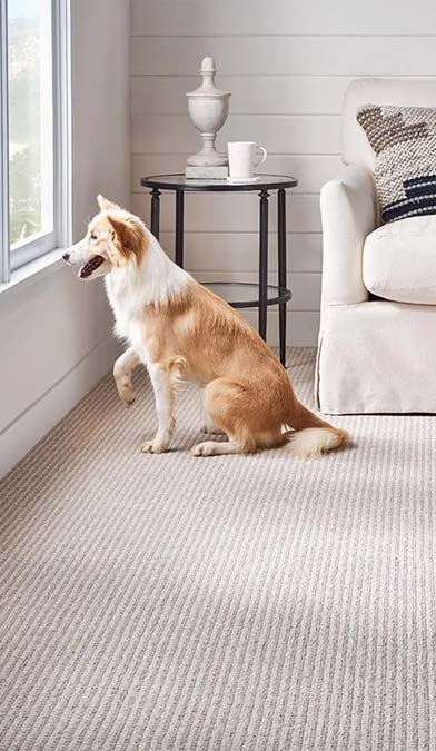 carpet professional installation richmond va residential and commercial